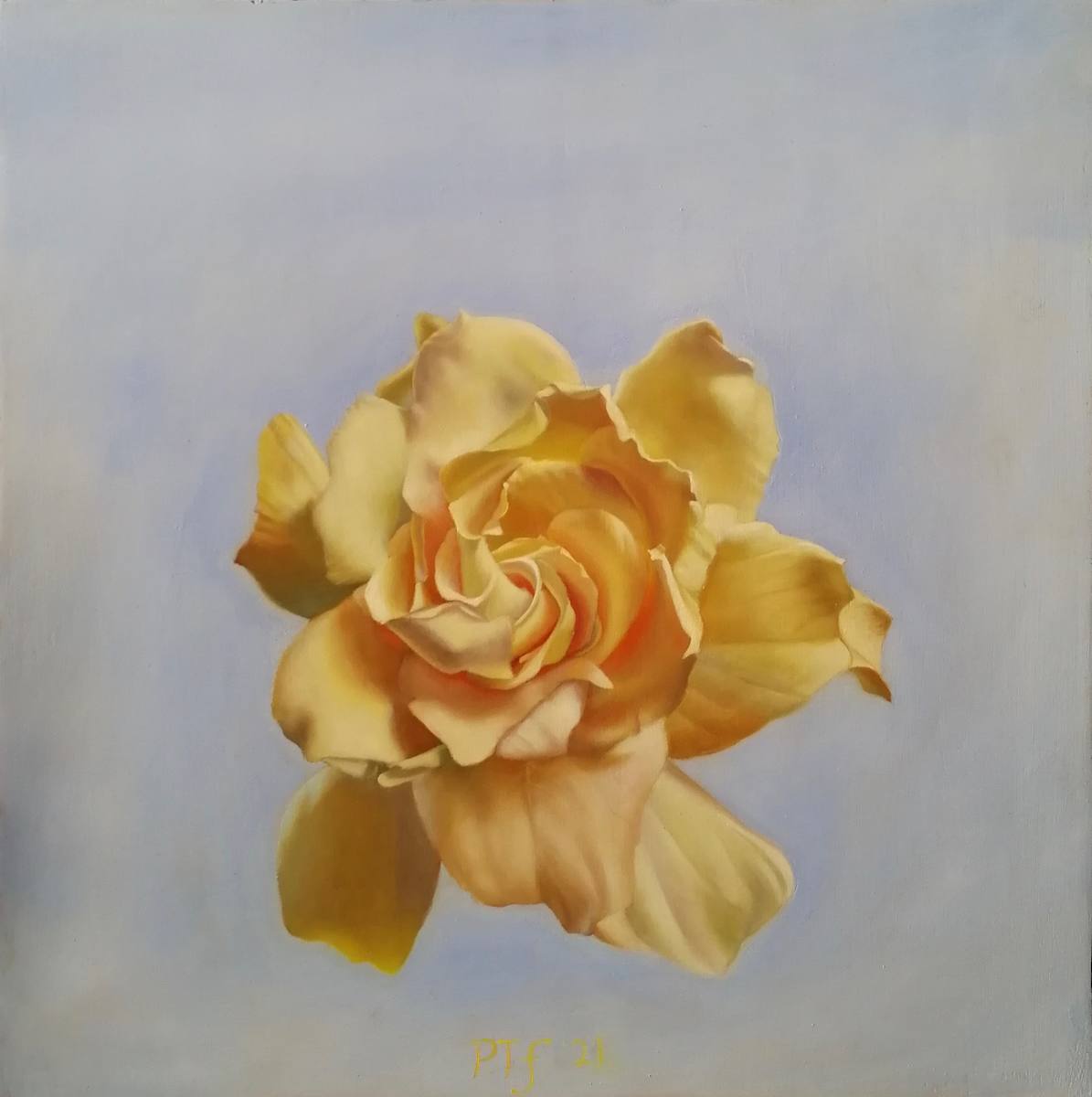 Gardenia by Peter Thomas Foster 