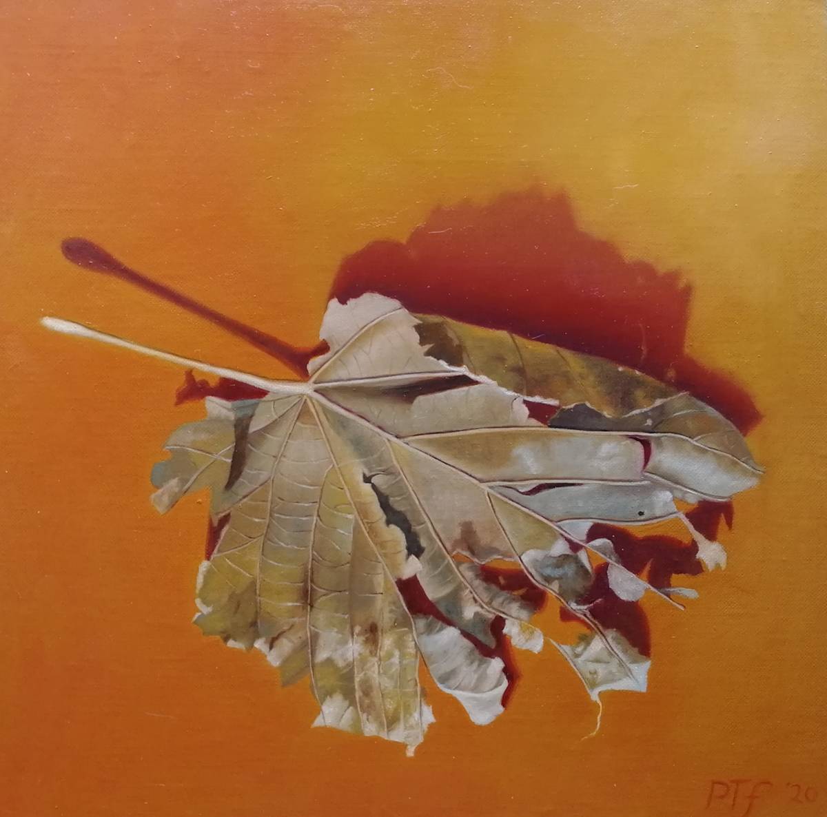 Leaf by Peter Thomas Foster 