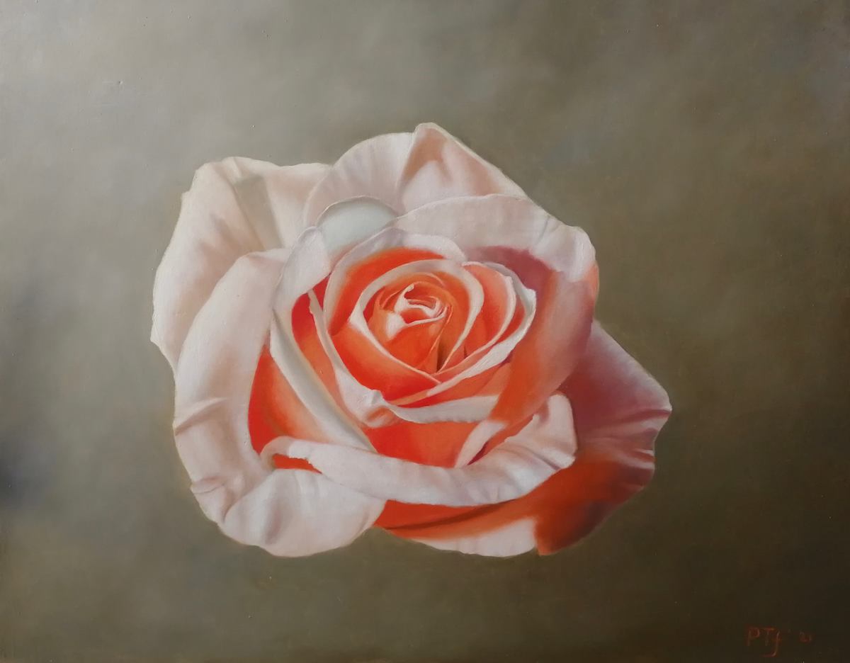 Rose by Peter Thomas Foster 