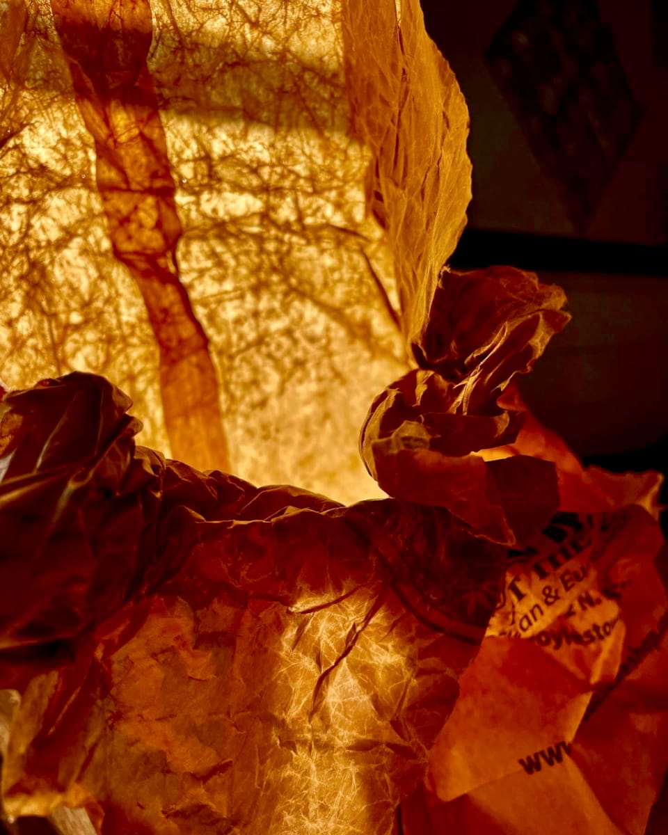 Paper Bag at Sunset by Alex Damevski 