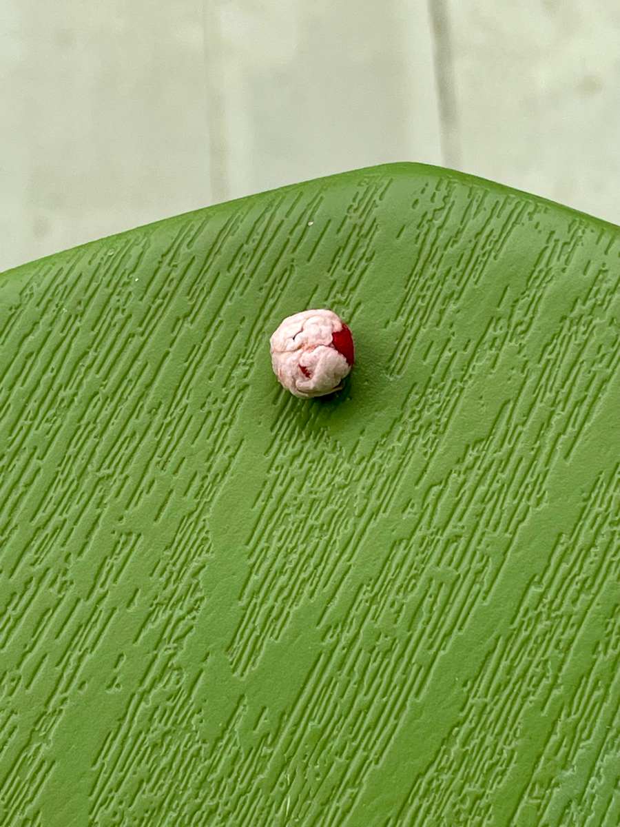 The Ball by Alex Damevski, Image 13.