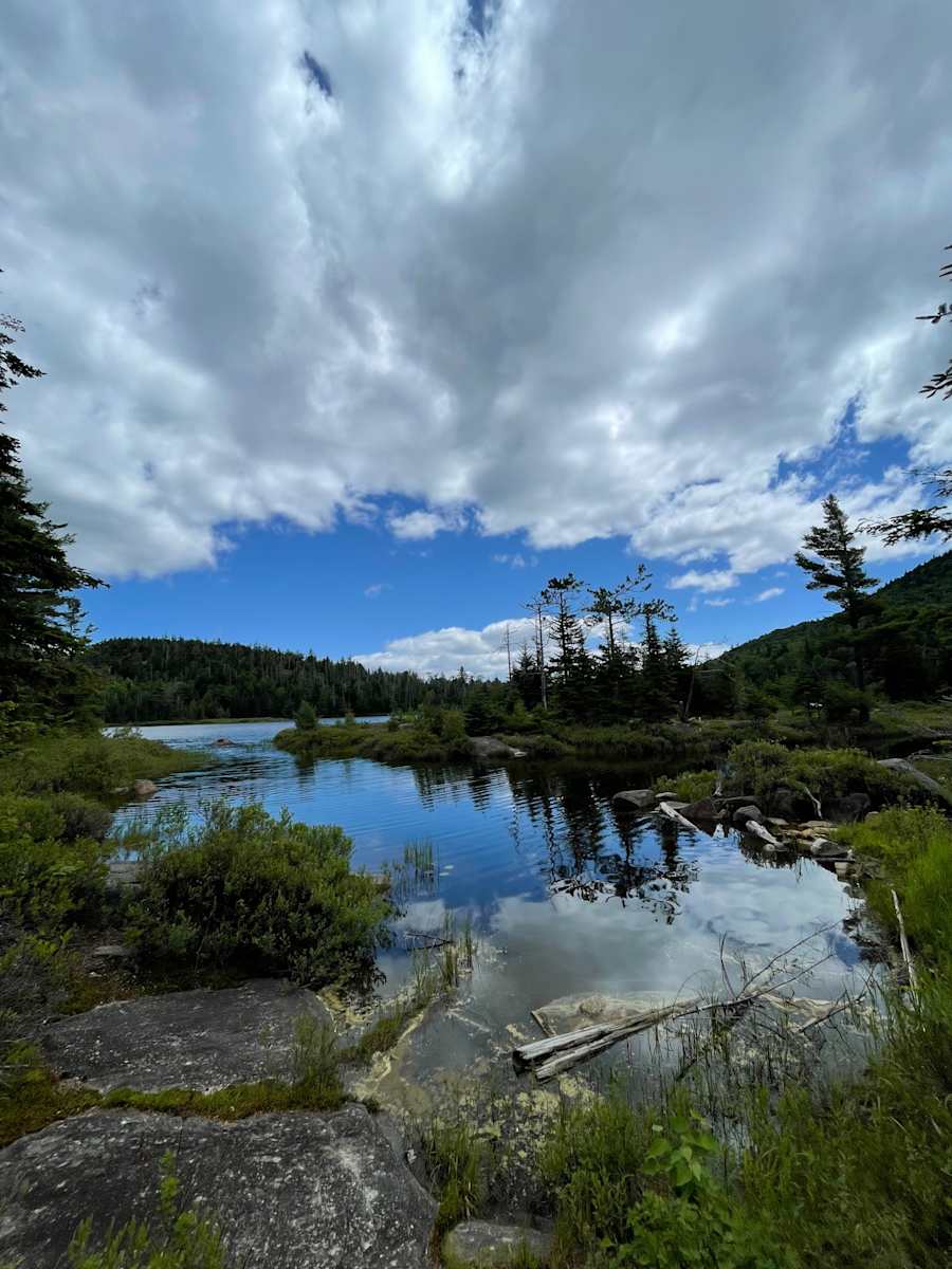 The Pond by Alex Damevski, Image 20.