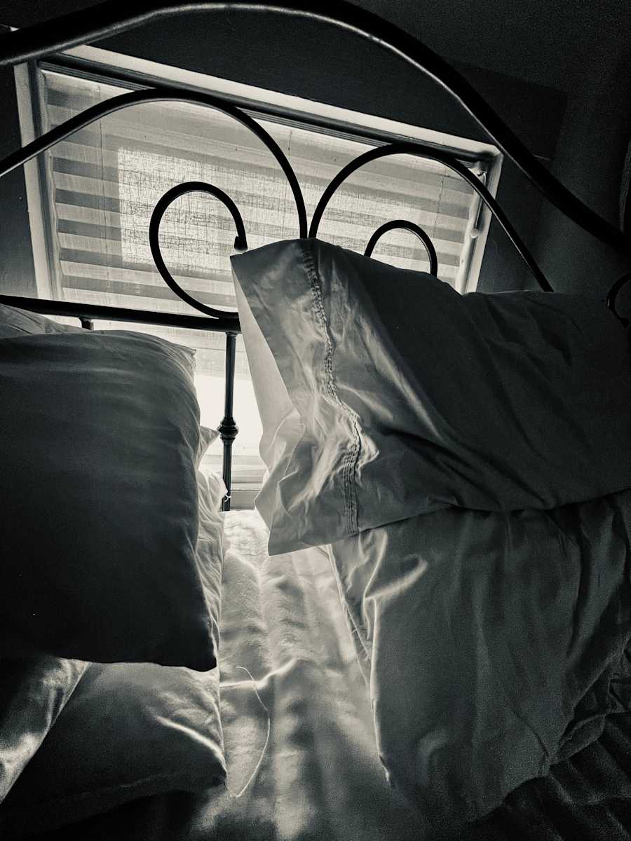 Pillows by Alex Damevski 