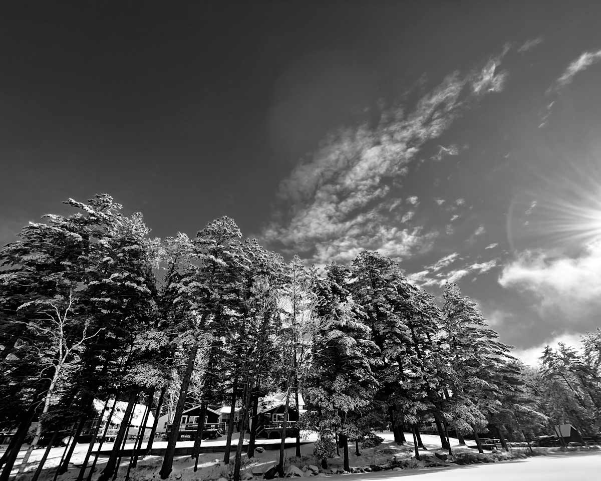 Winter Sunshine by Alex Damevski, Image 2.