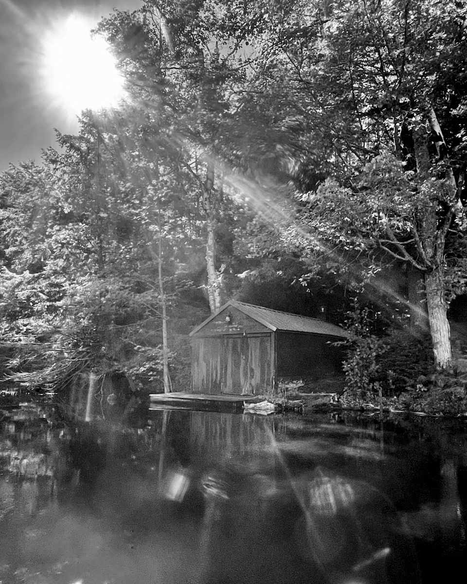 Lakeside Shed by Alex Damevski, Image 17.