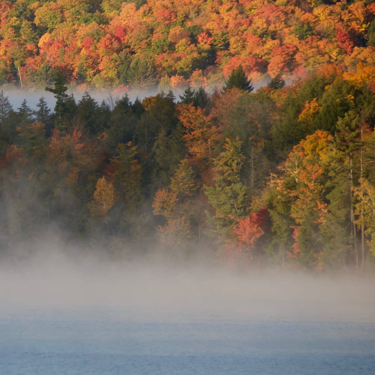 Morning Mist 2 by Alex Damevski 
