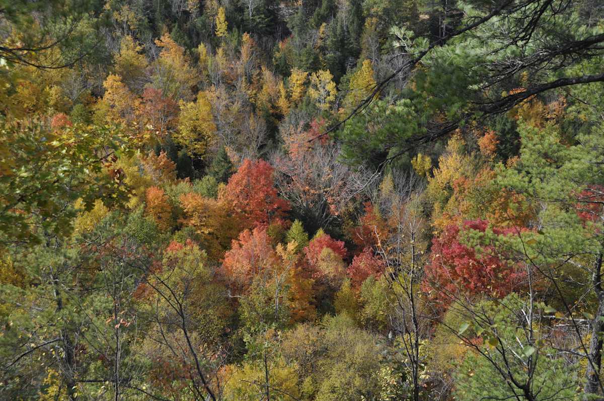 Fall ADKS by Alex Damevski, Image 15.