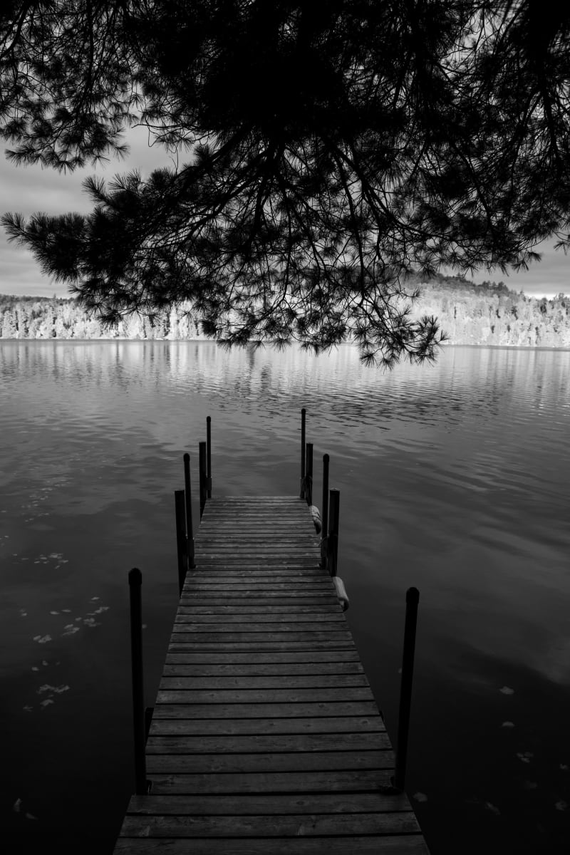 On the Dock by Alex Damevski 