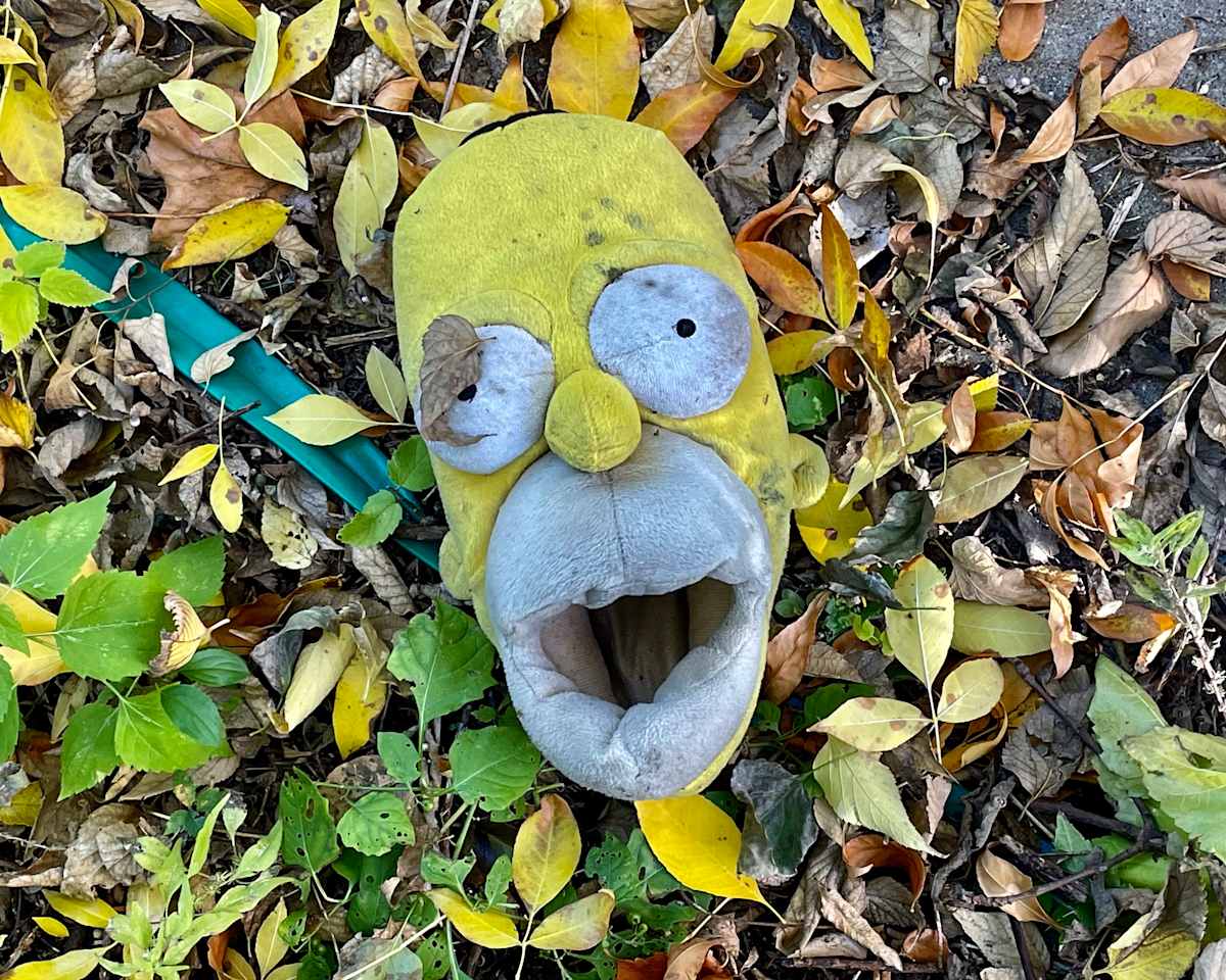 Where's  Bart by Alex Damevski, Image 3.
