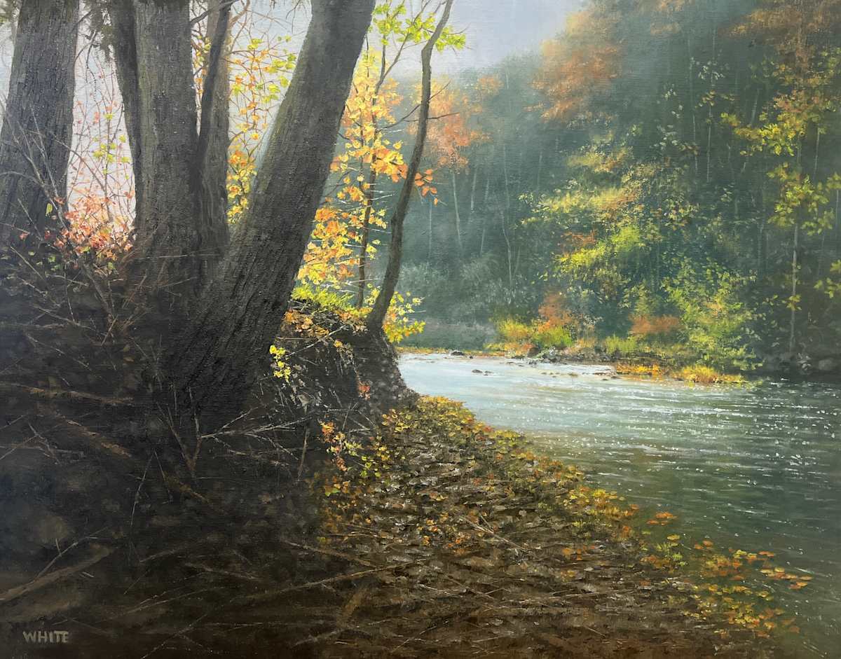 Changes by Steven J. White 