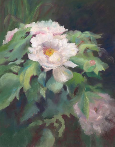 Peonies in Pastel by Diane Cannon 
