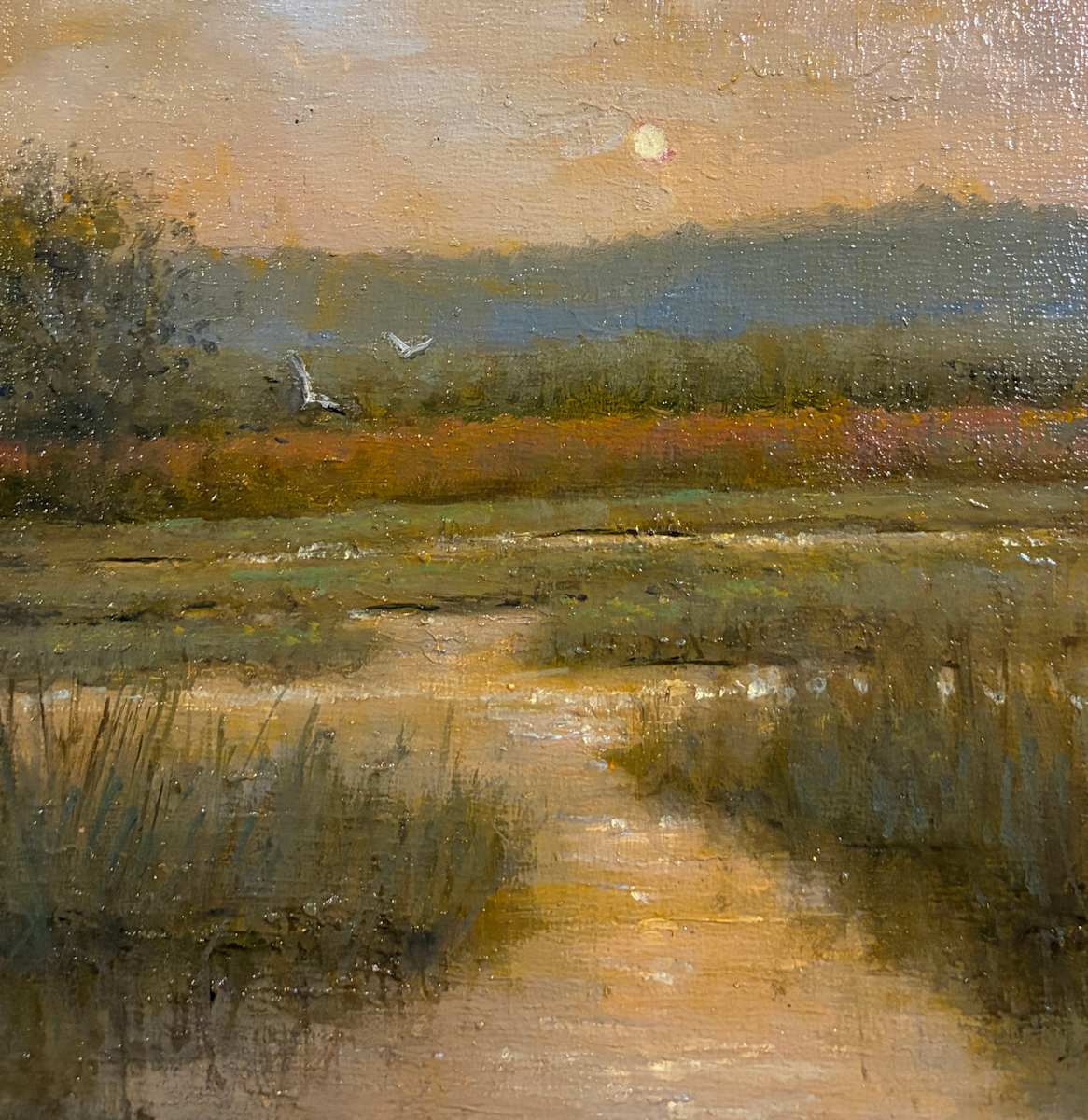 First Light by Sue Barrasi 