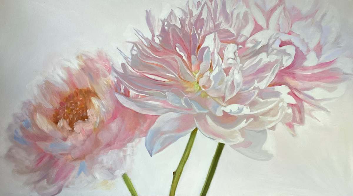 Soft Light on Peonies by Donna Porter 