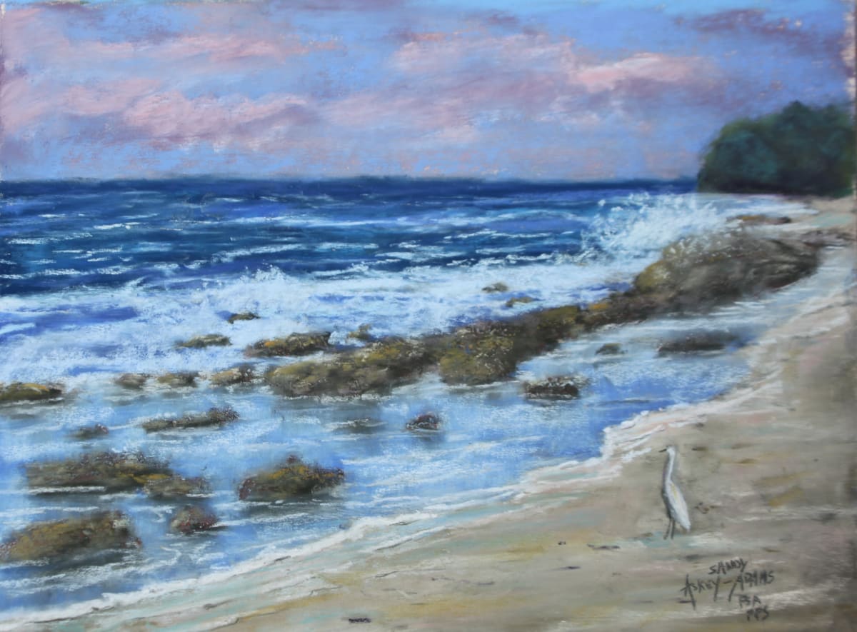 Surf Watching by Sandy Askey-Adams 