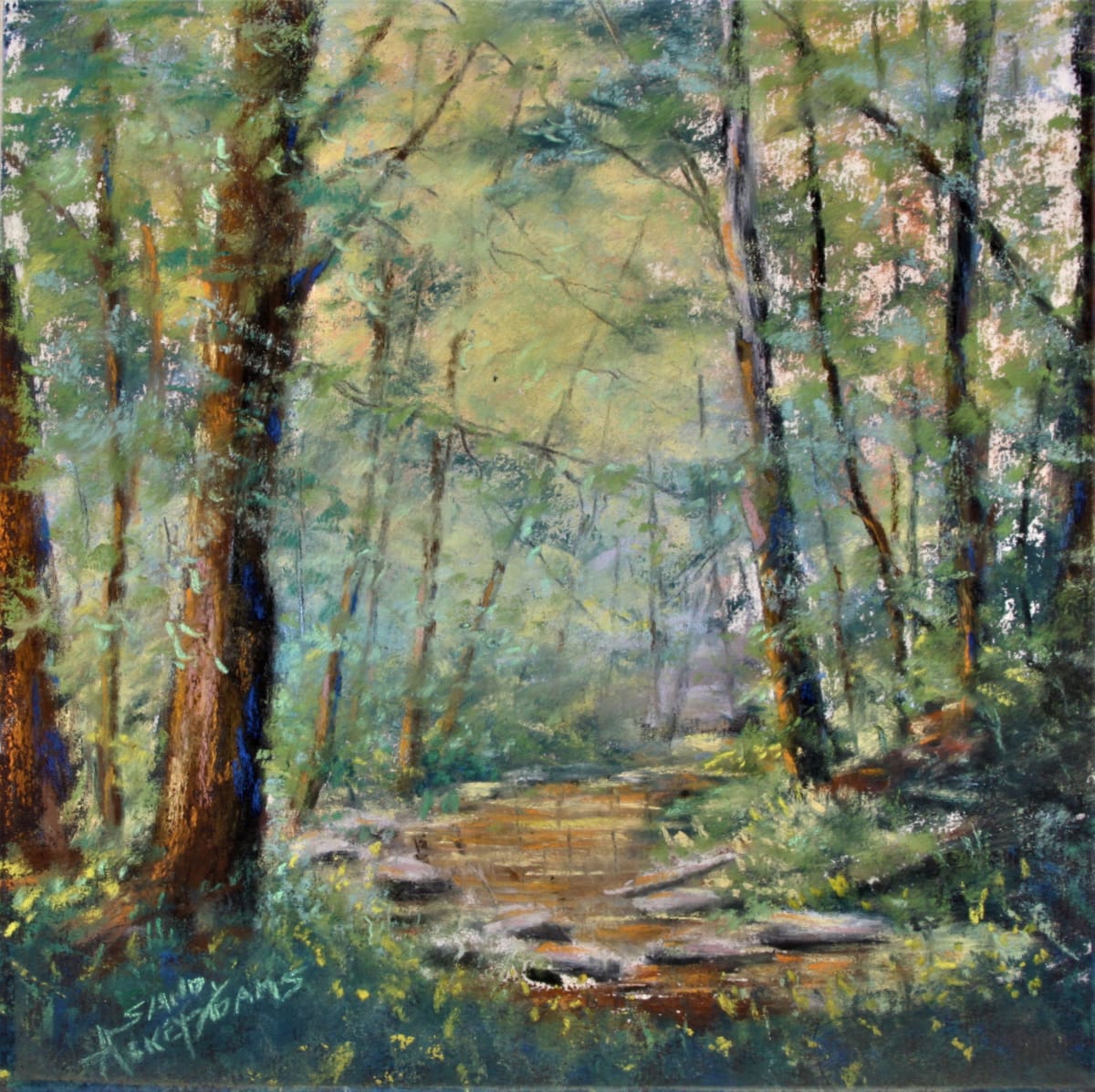 Tranquil Light by Sandy Askey-Adams 