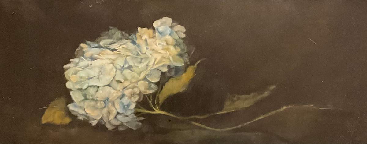 The Rested Branch by Stephanie Molnar 