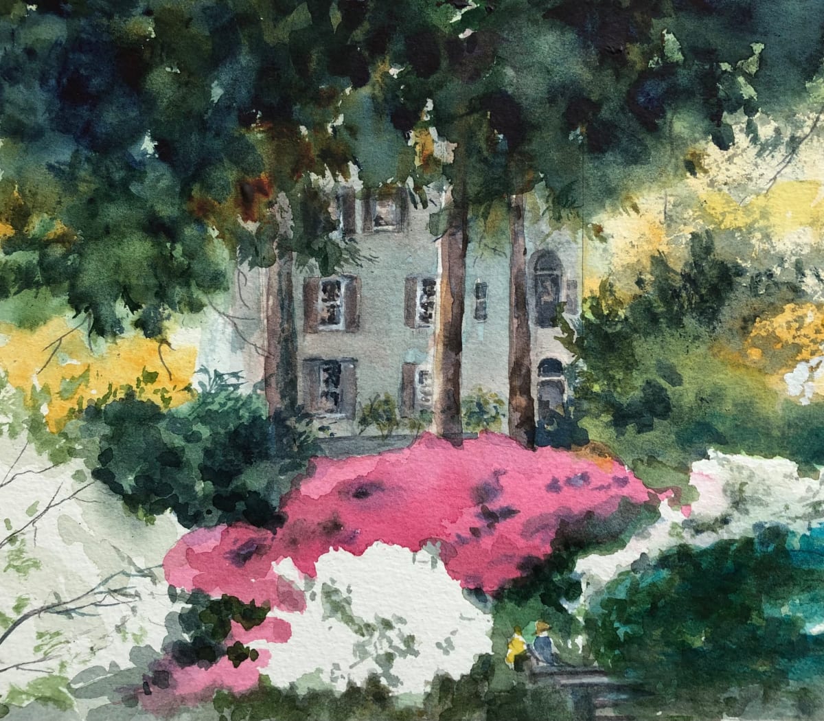 Azaleas at Winterthur by Diane Cannon 