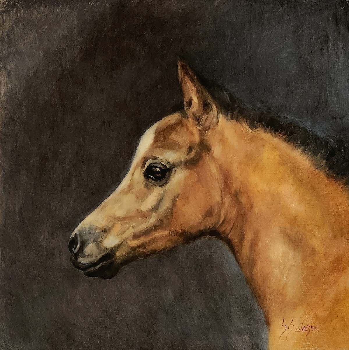 Little Atlas by Sandra Severson 