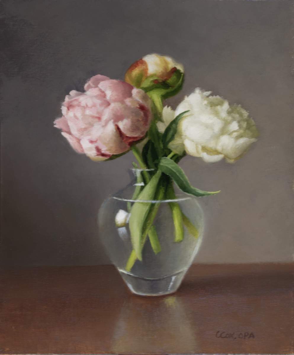 Peony Stillness by Cecelia Cox 