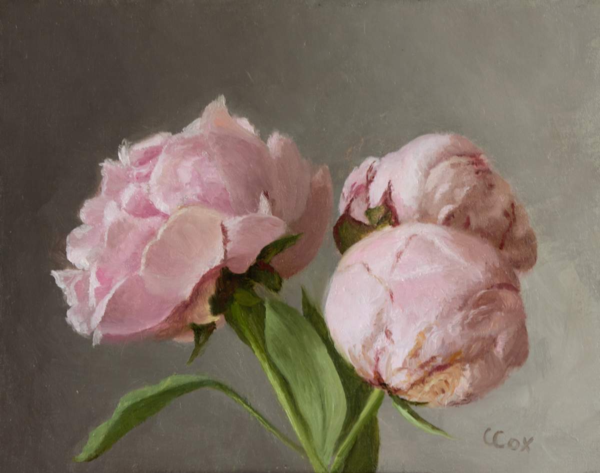 Pink Peony Trio by Cecelia Cox 