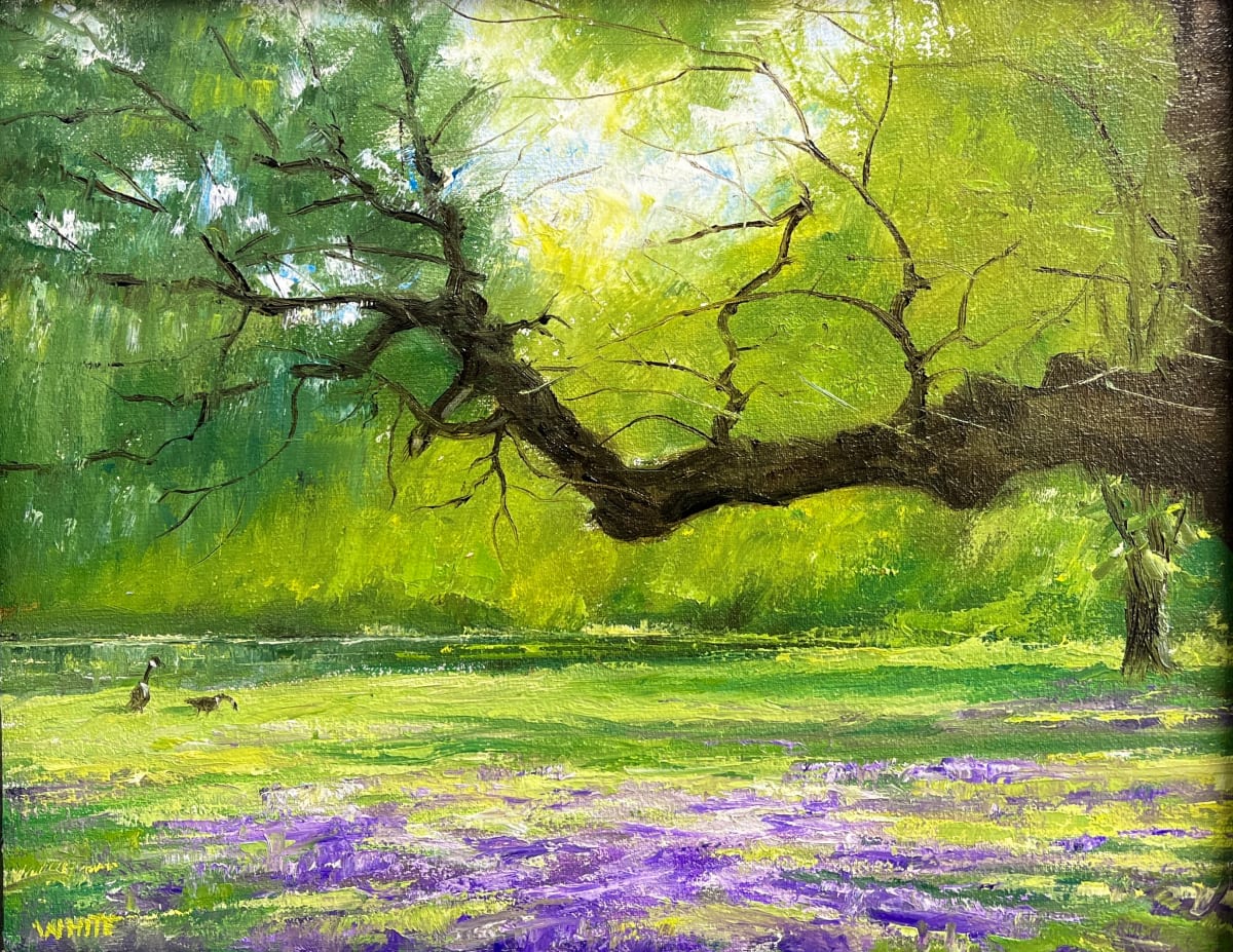 Rendezvous by Steven J. White 