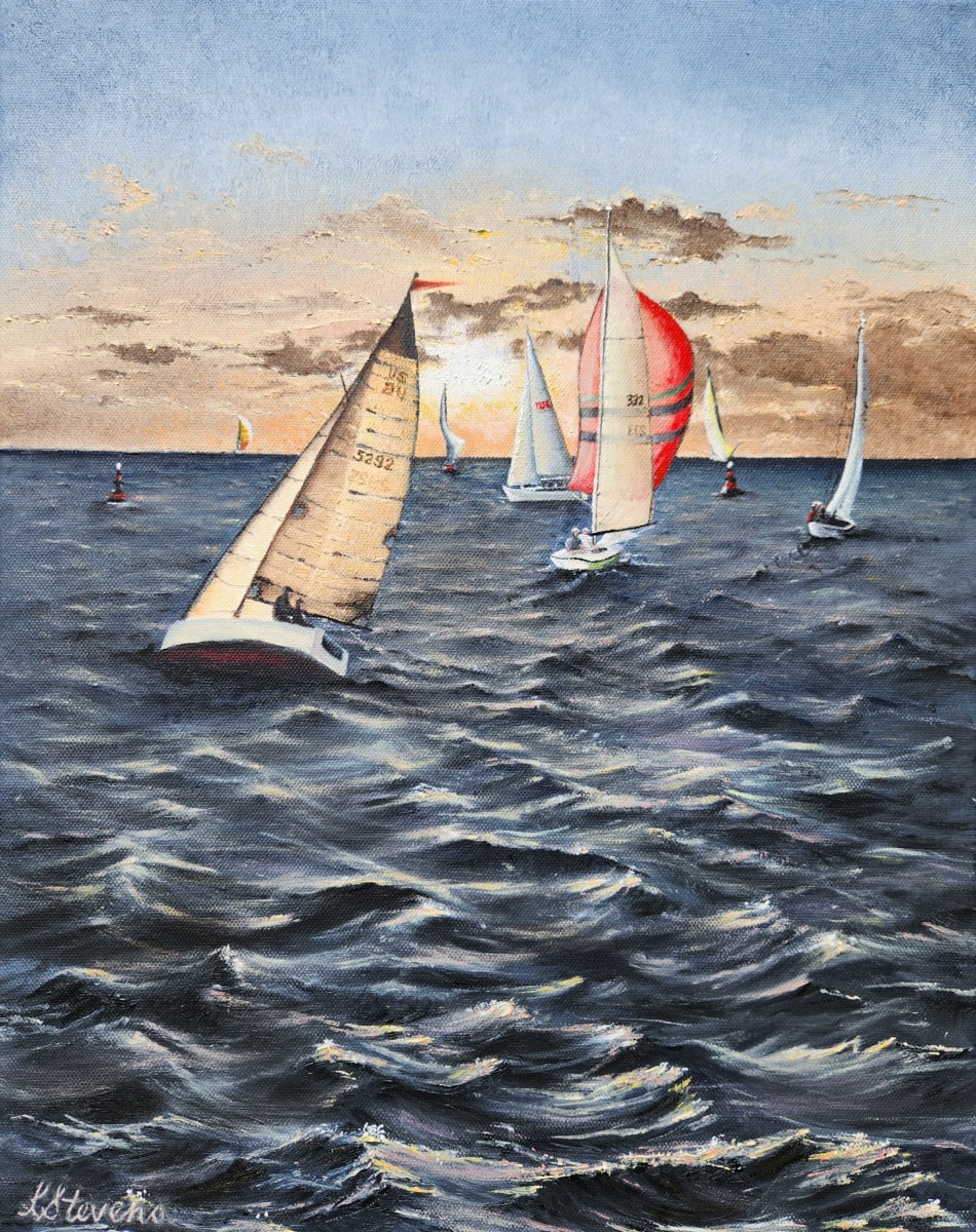 Seize the Breeze by Lini Stevens 