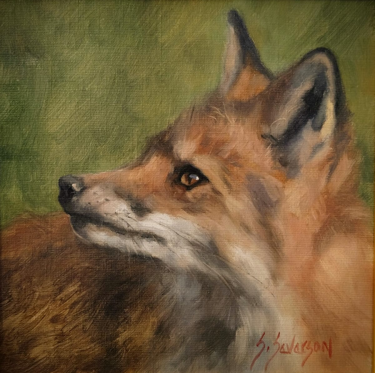 Stars in Daytime by Sandra Severson 