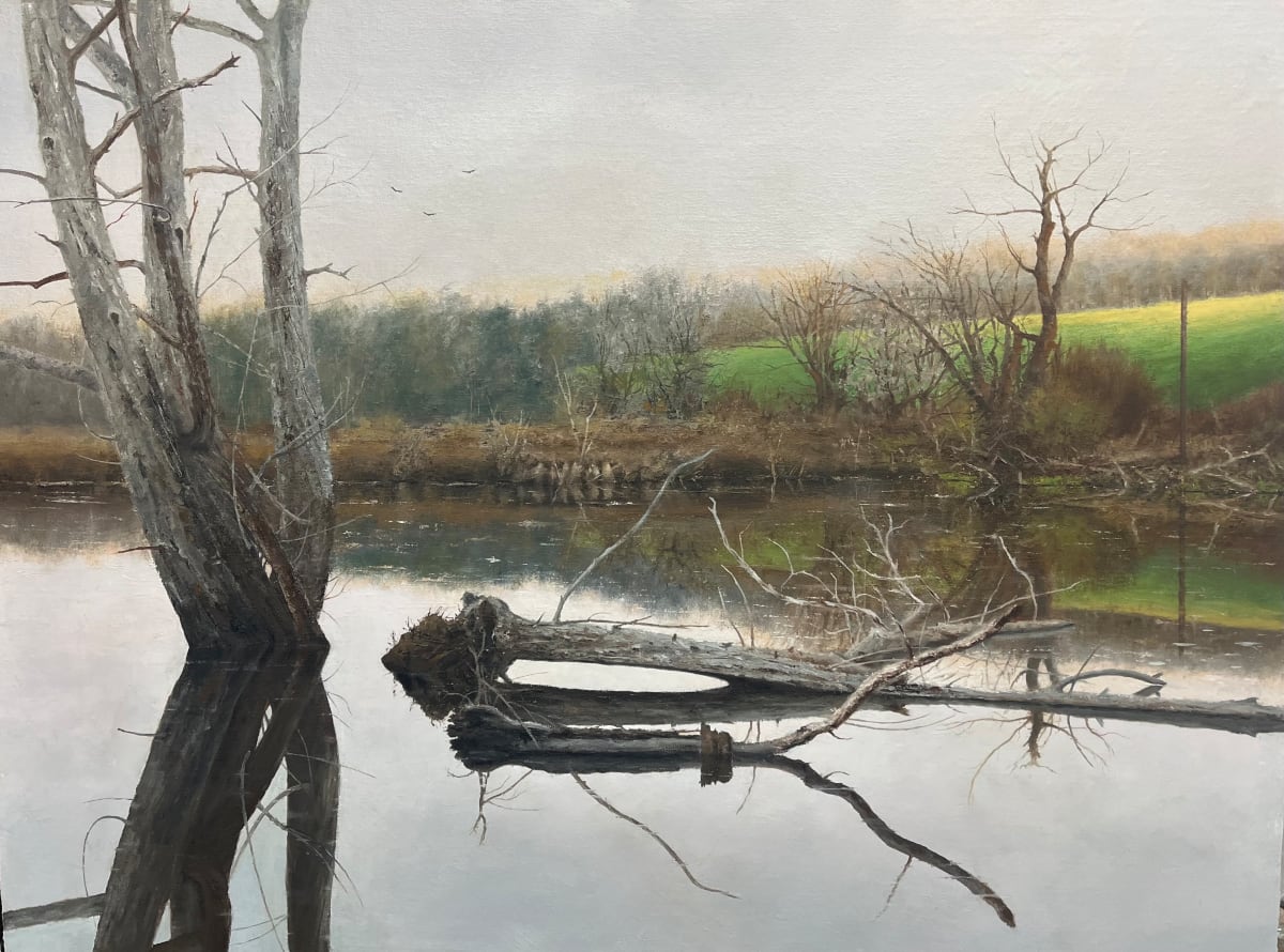 Swamp Things by Steven J. White 