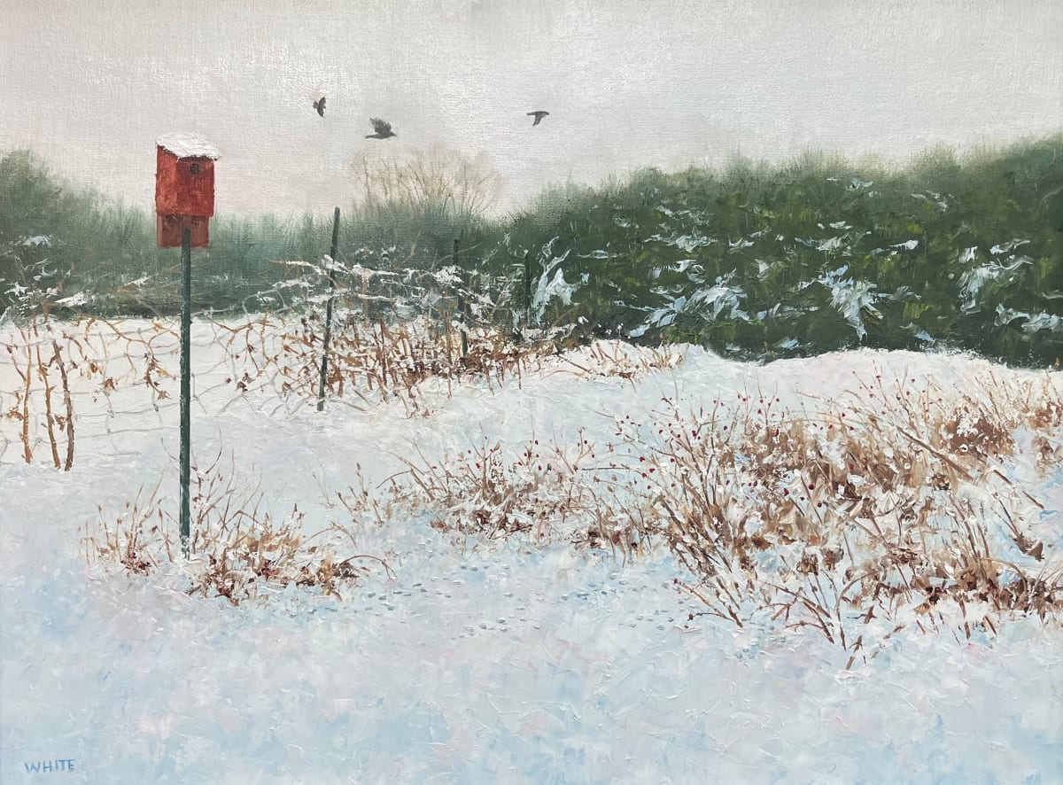 Vacancy by Steven J. White 