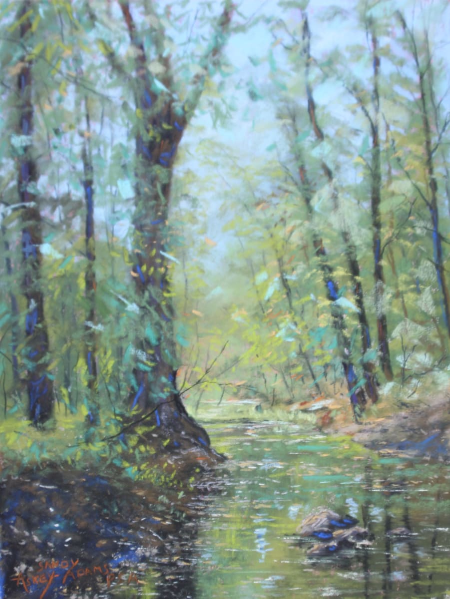 Springtime Woodland by Sandy Askey-Adams 