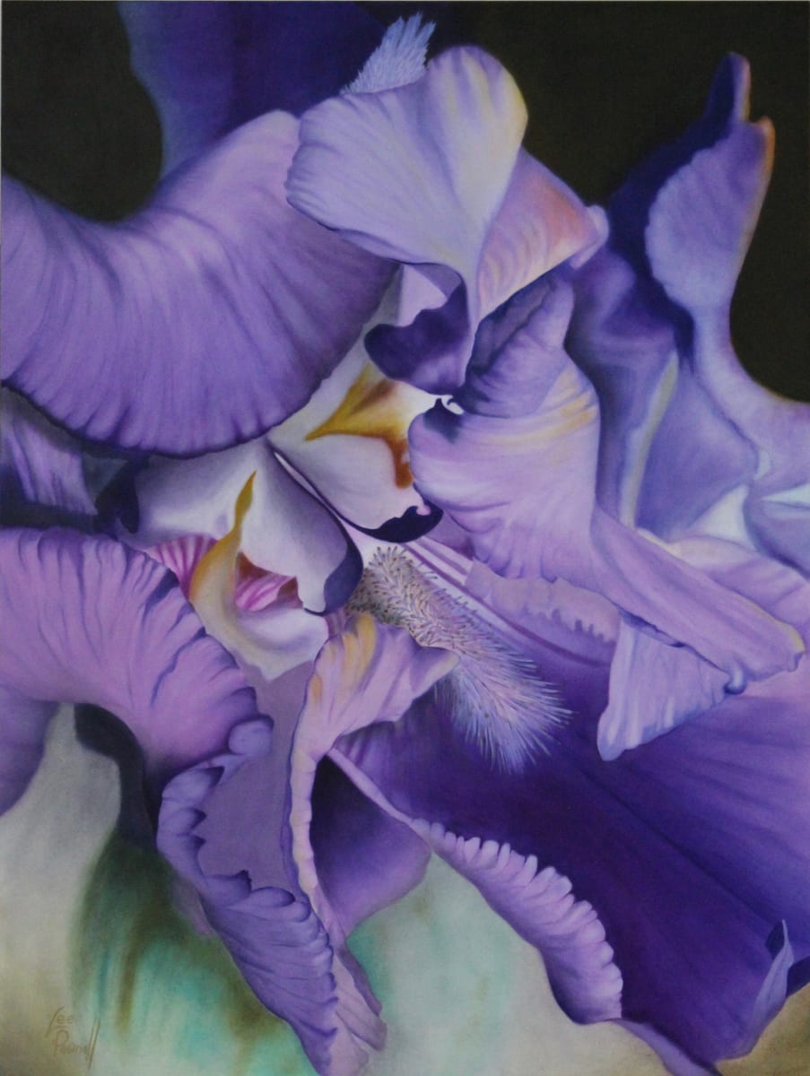 Iris by Lee Eastman 