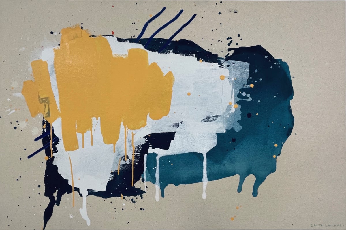 Where Does The Time Go by David Callaway 