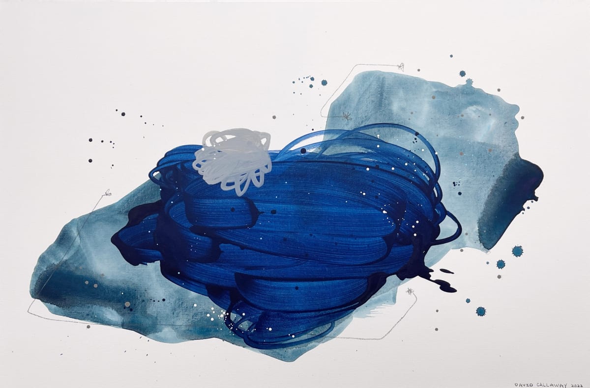 Walks on the Moon by David Callaway 