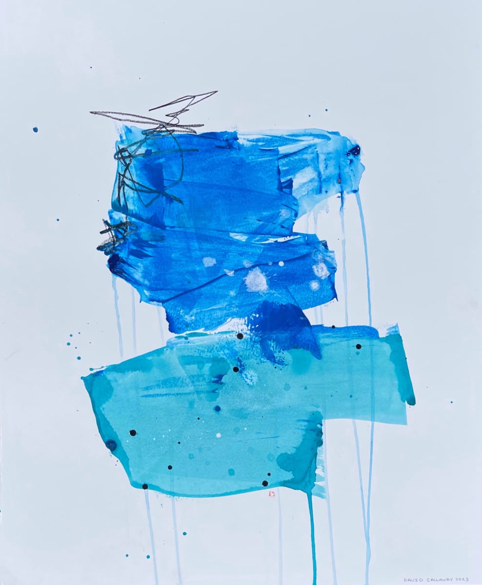 Coast by David Callaway 