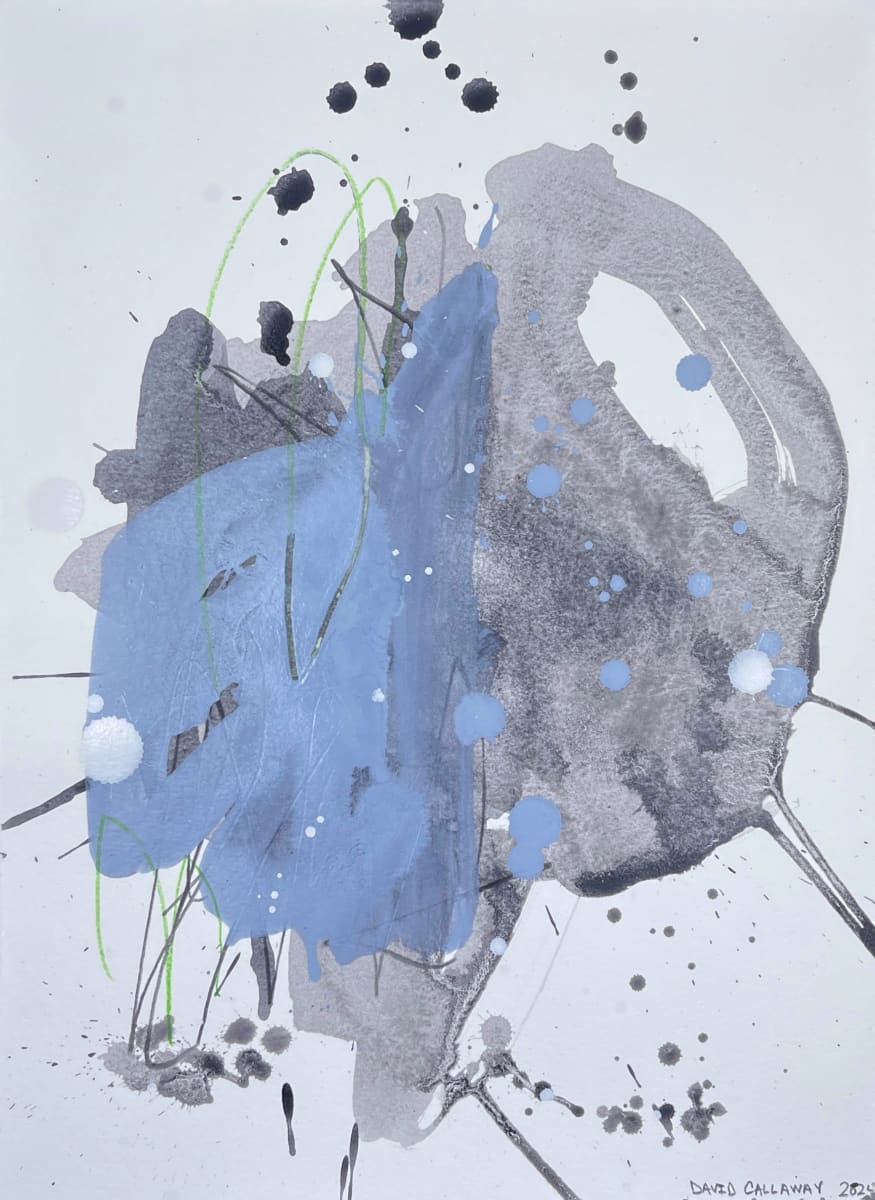 Dive In by David Callaway 