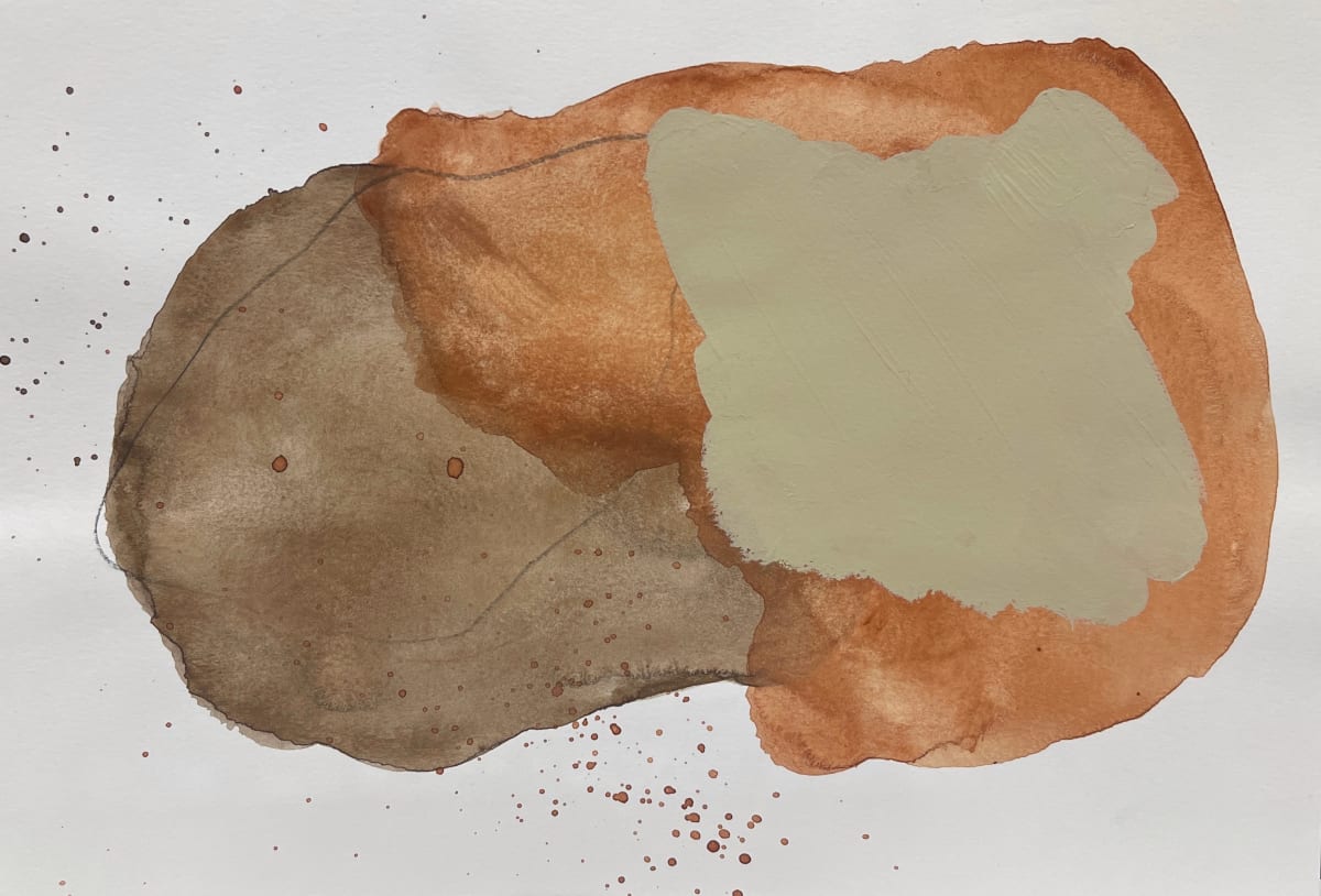 Verdin  Image: Dessert Bird