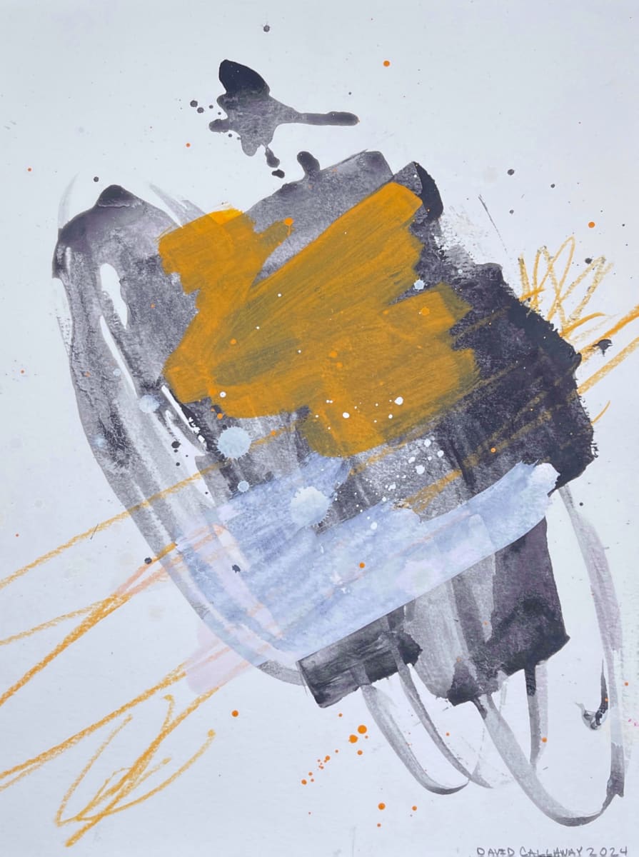 Orioles by David Callaway 