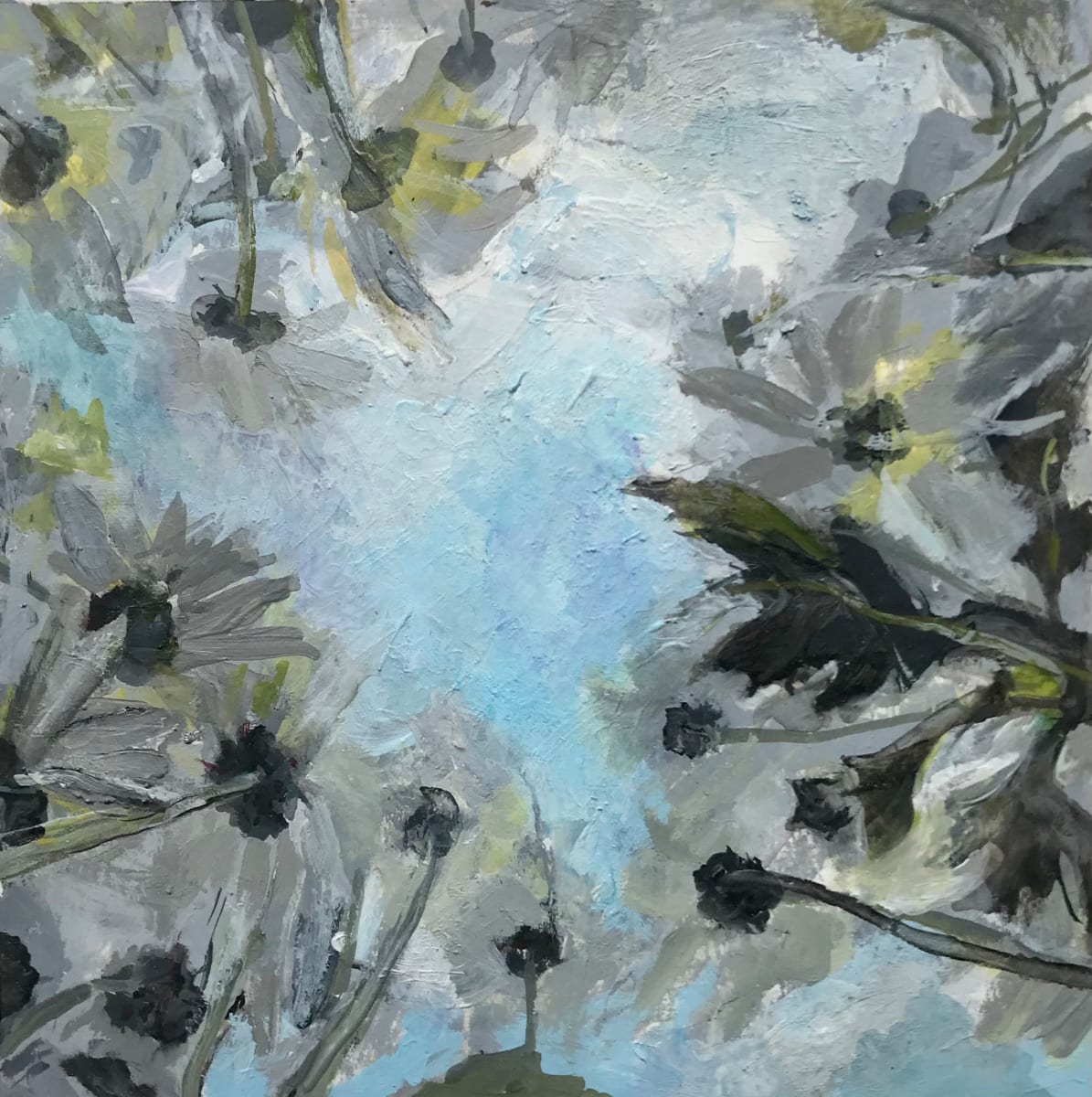 Daisies, Sky Dance by Lynda Bruce 