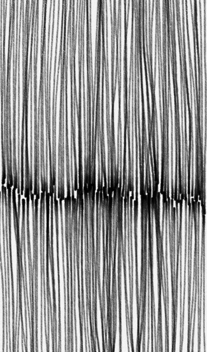 DIGITAL CONFINEMENT I 