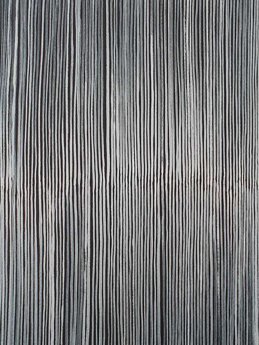 FINE V by Paula del Rivero 