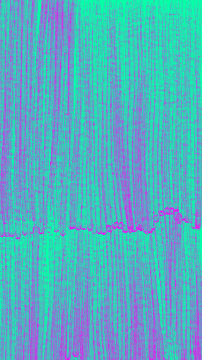 DDD#38 by Paula del Rivero 