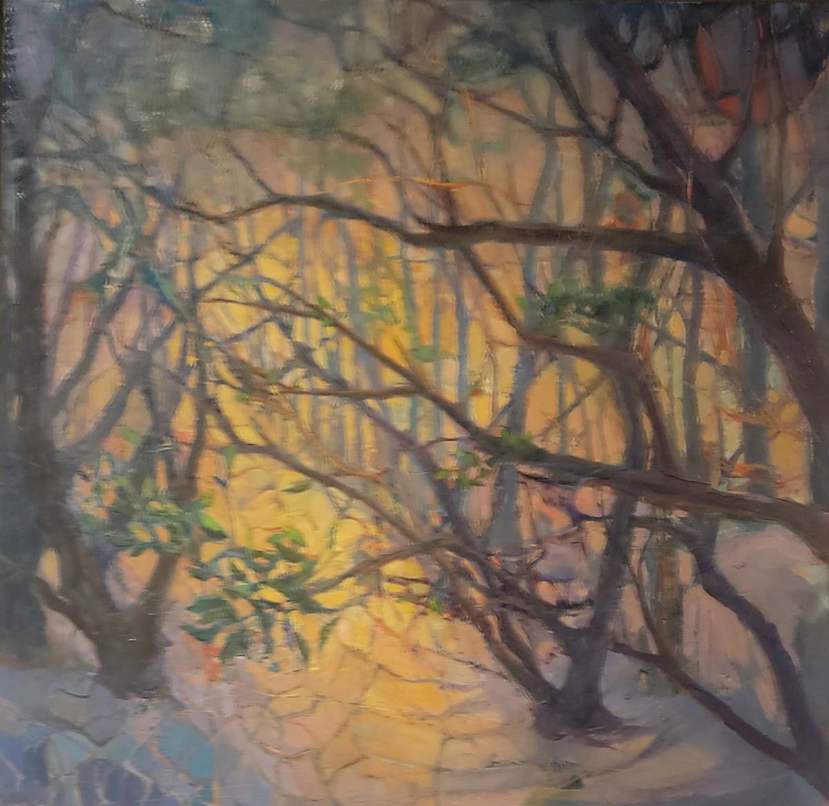 Family of Trees by Elizabeth Washburn 