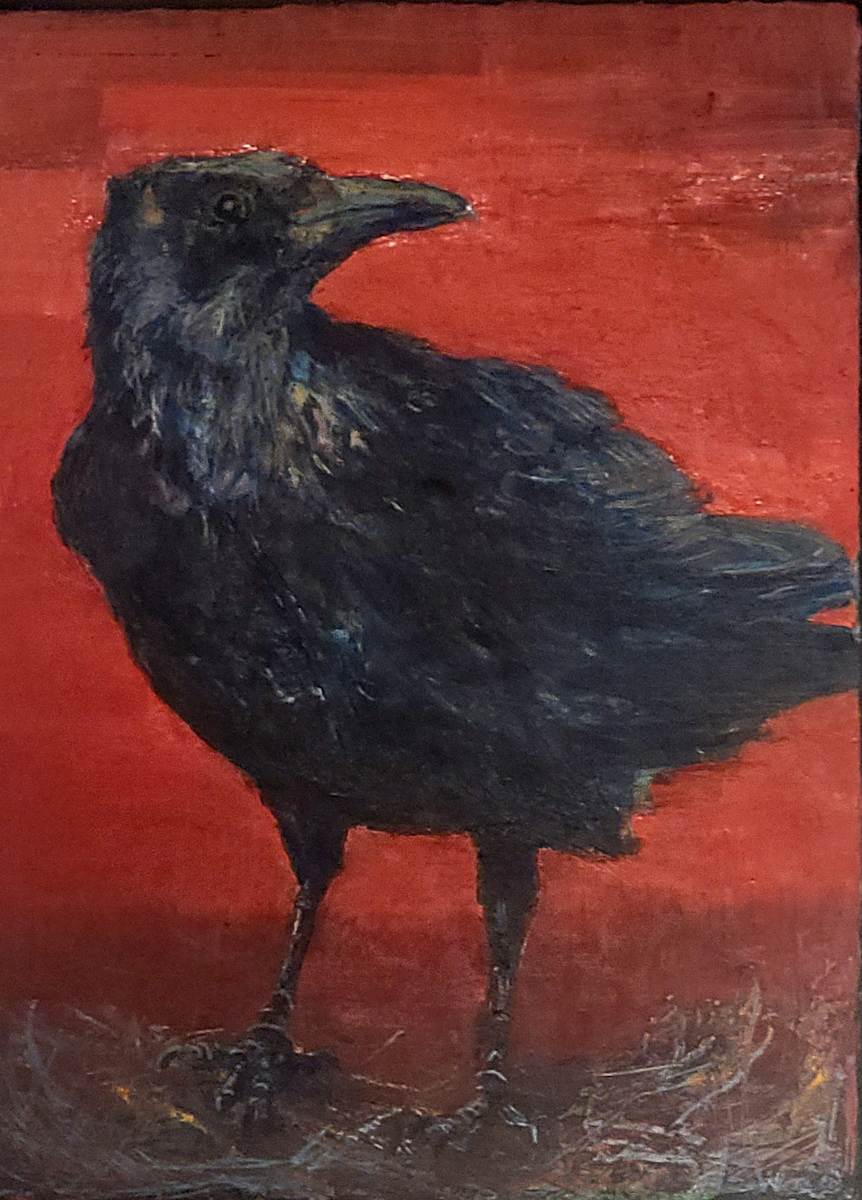 Crow by Elizabeth Washburn 