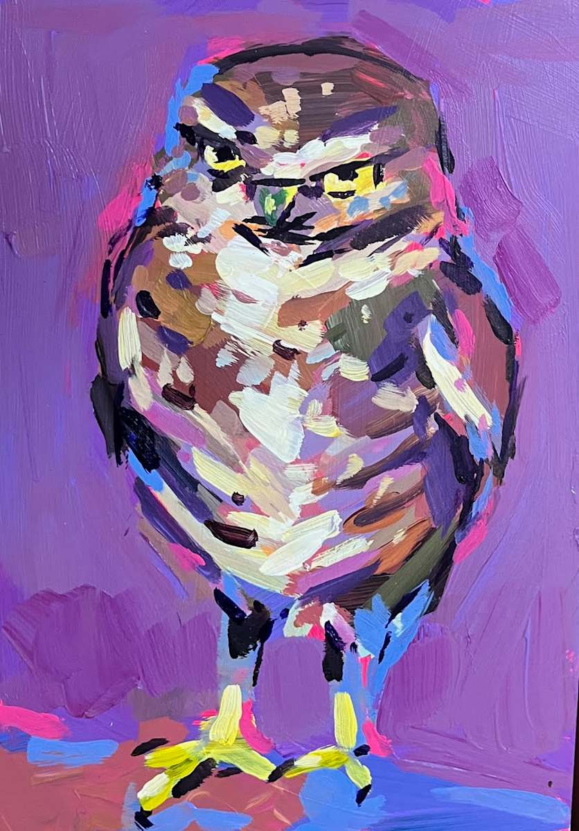 Burrowing Owl by Laura Green 