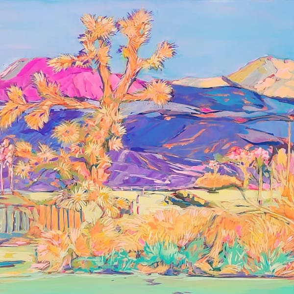 PioneerTown,  Joshua Tree by Kate Joiner 