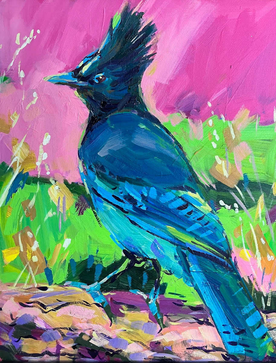 Steller's Jay by Laura Green, Image 1.