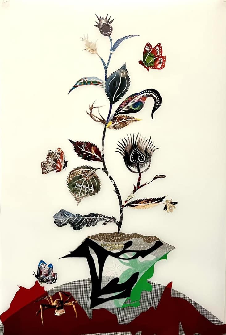 Still Life Life series #01 by Xin Song 