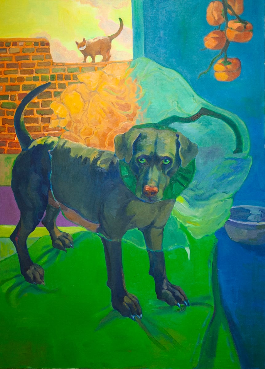 Dog and his skin disease by Xiangni Song 