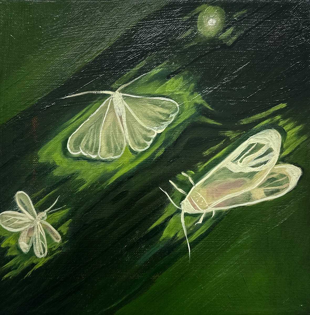 Bugs by Frances Matassa 