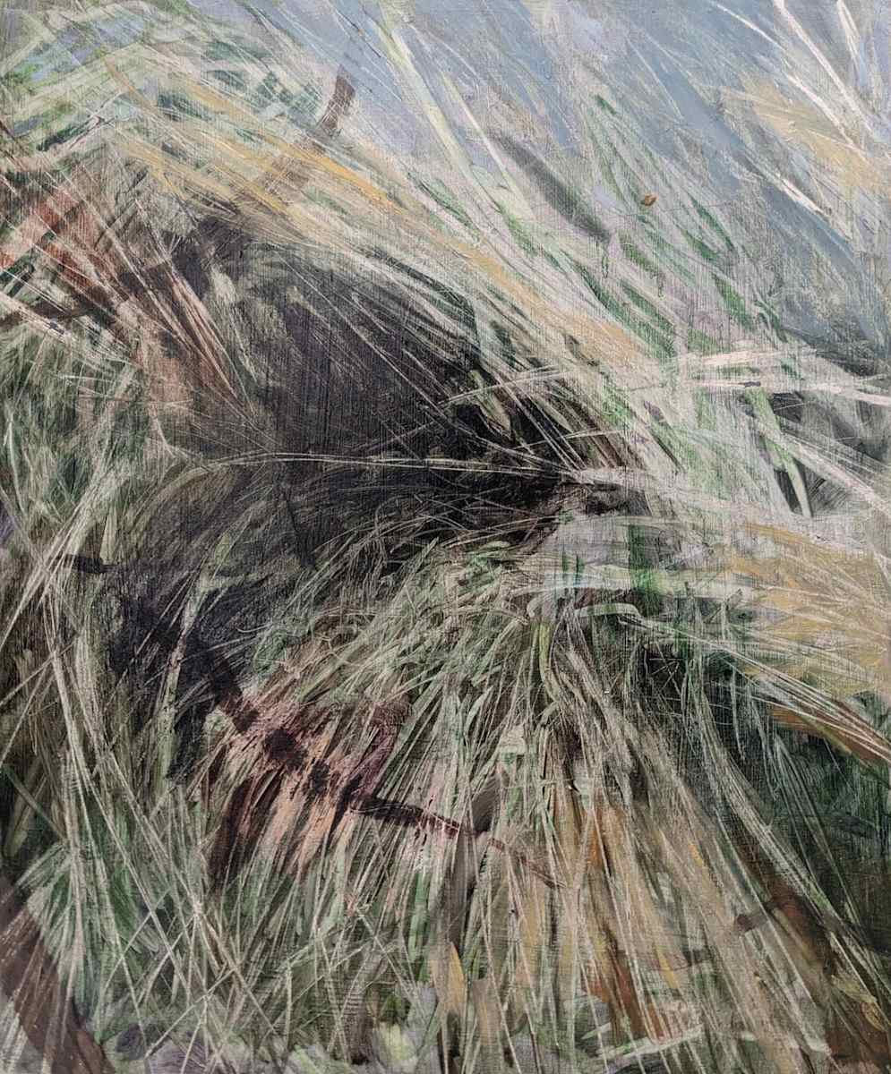 Untitled by Jane Philips 